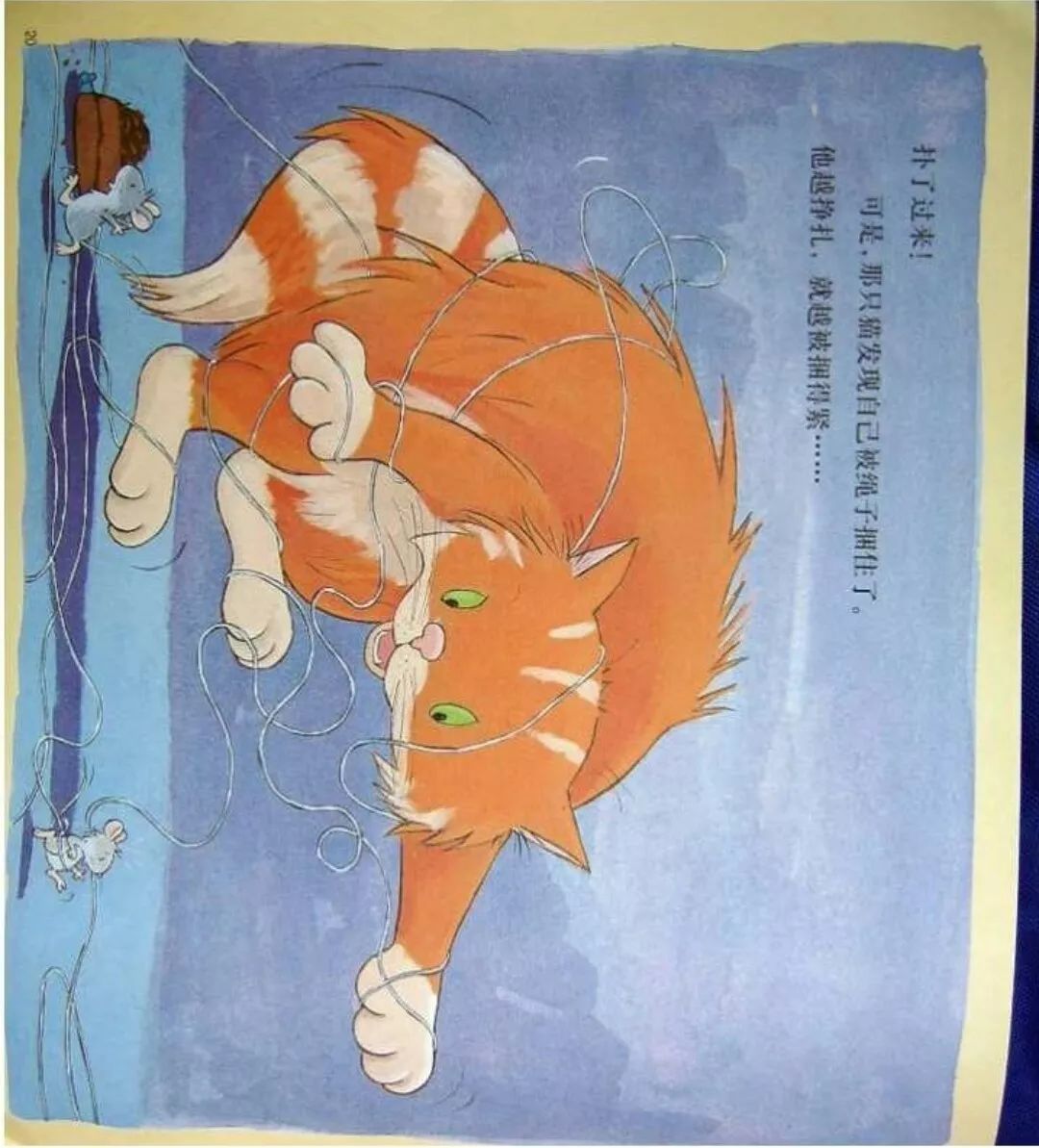 汾(349)С