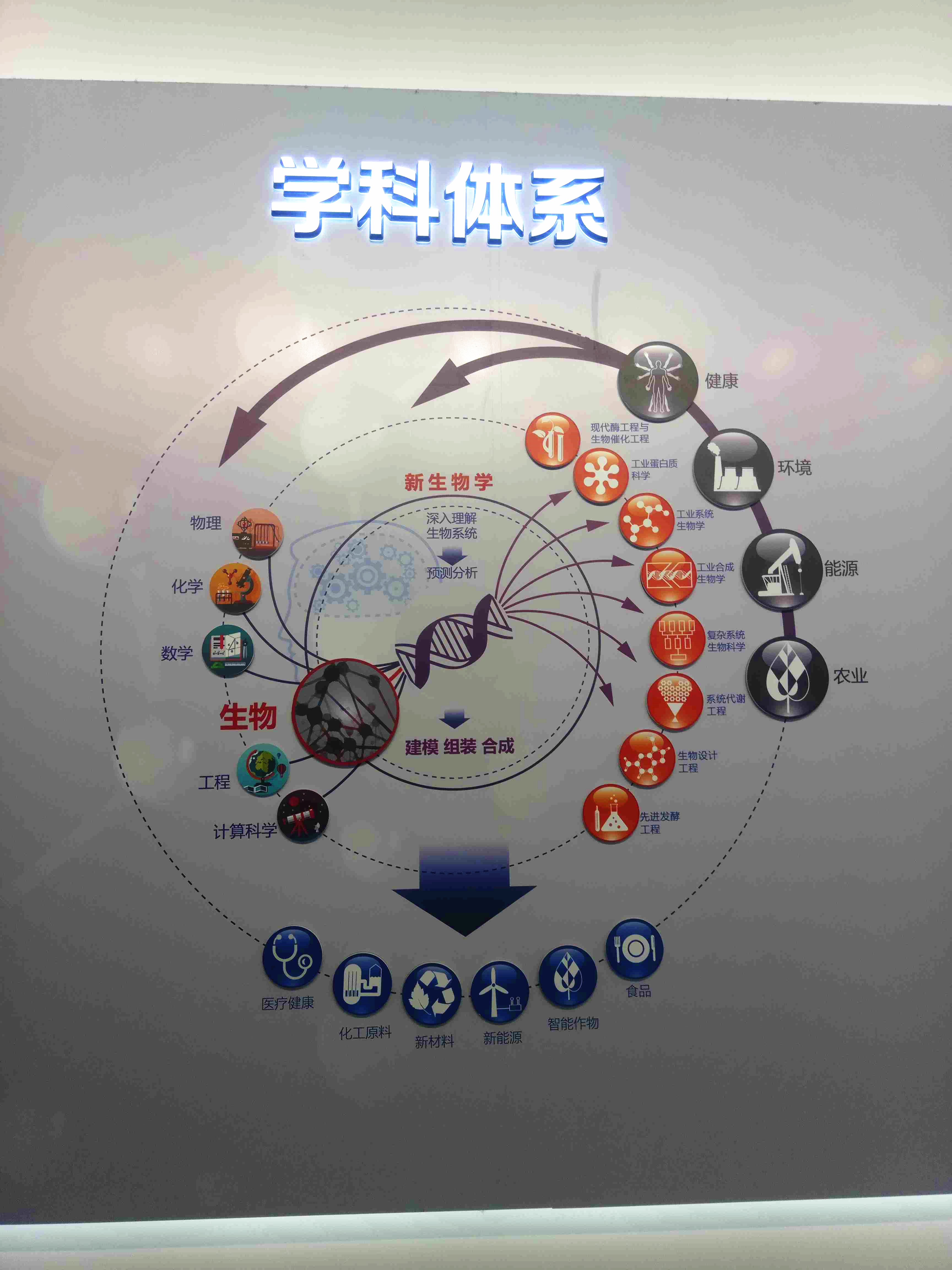 什么是工业生物技术 67460c99727045789bfbc66d649aea0e.jpeg