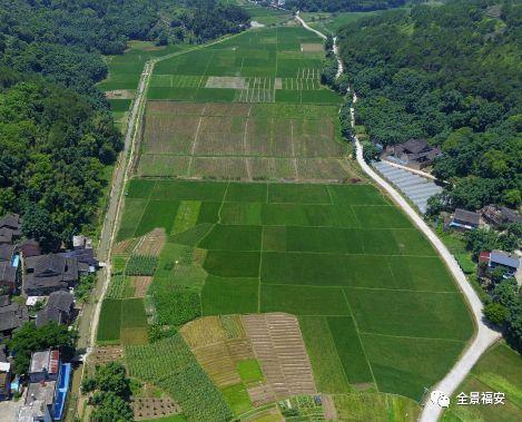 溪璧山村有多少人口_璧山香漫溪岸户型图