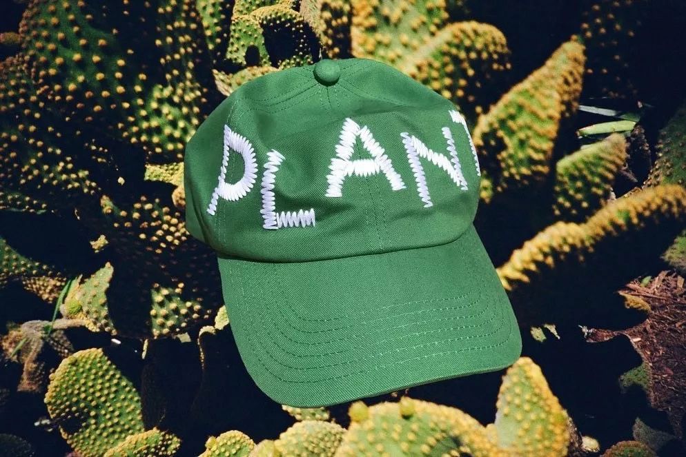 cactus plant flea market