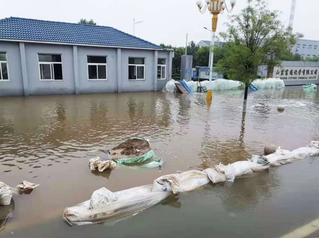 临淄区经济总量包括齐鲁石化吗_经济全球化