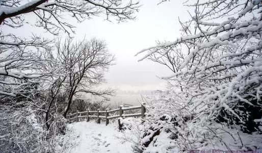 雪在这十三位诗人笔下,最是圣洁动人! 亚洲通官网网址