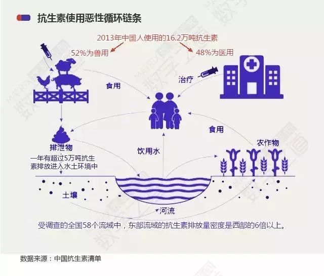 世界人口体质_疤痕体质图片(3)