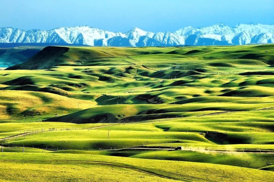 火爆抖音的草原歌曲《我也是草原的孩子》来自