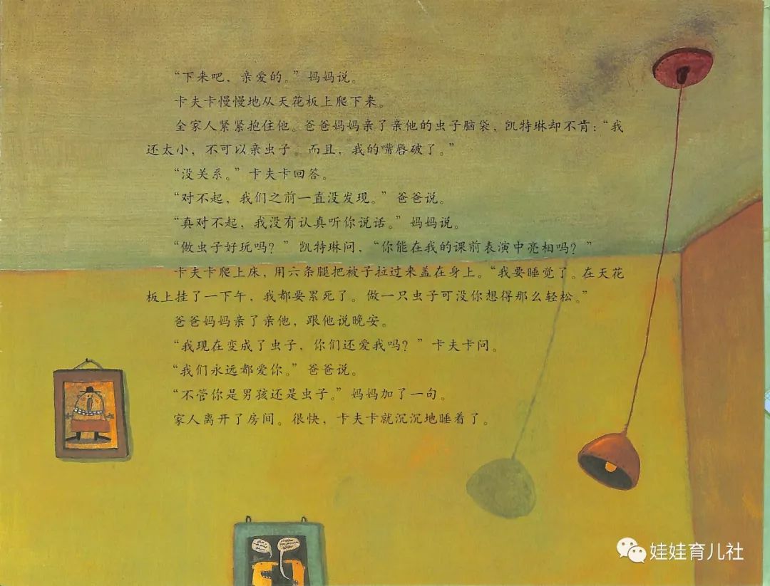 绘本故事|《卡夫卡变虫记》告诉家长们:适当去关心孩子,孩子需要爱