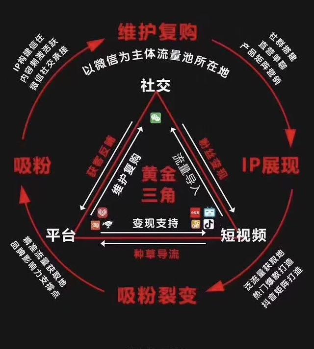 电商平台,微信社交电商,短视频(抖音)的营销闭环打造