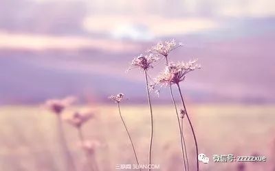 8a5edb7d717945d9b809f448338736c5.jpeg