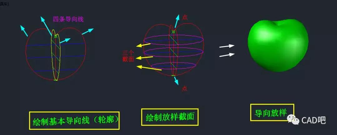 动画演示: 巧妙应用: 一,绘制苹果外形 ①,绘制出导向线:苹果轮廓的