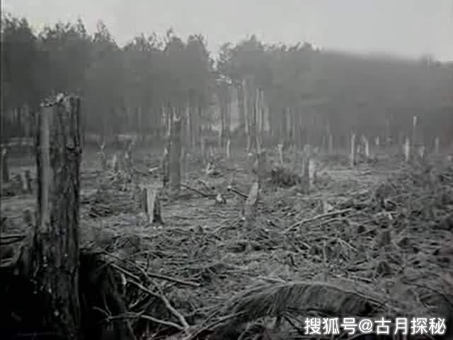 91d70379266c4aa893ed3c90a1024417.jpeg