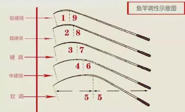 钓鱼新手的困惑:鱼竿到底该如何选择,是不是越贵越好?