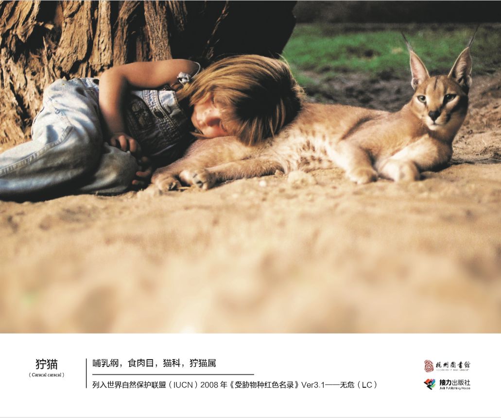yue杭图阅 | 消失的朋友:"我的野生动物朋友"主题摄影展