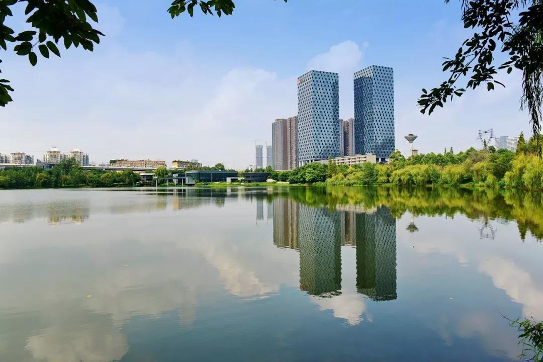 广西2019的GDP是多少_鹅城百色的2019年GDP出炉,在广西排名第几(3)