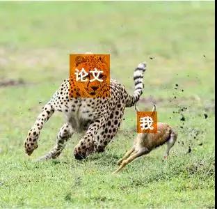 PaperAsk论文检测免费论文查重系统