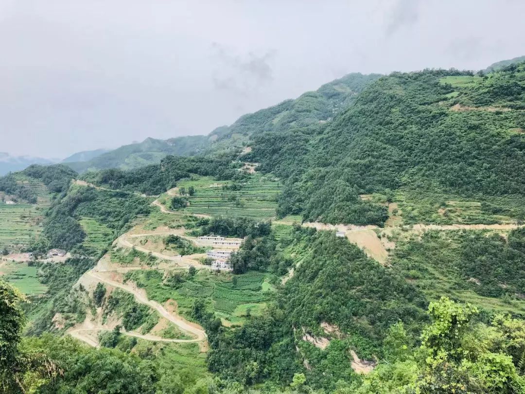 华山村人口_平昌县土兴镇华山村