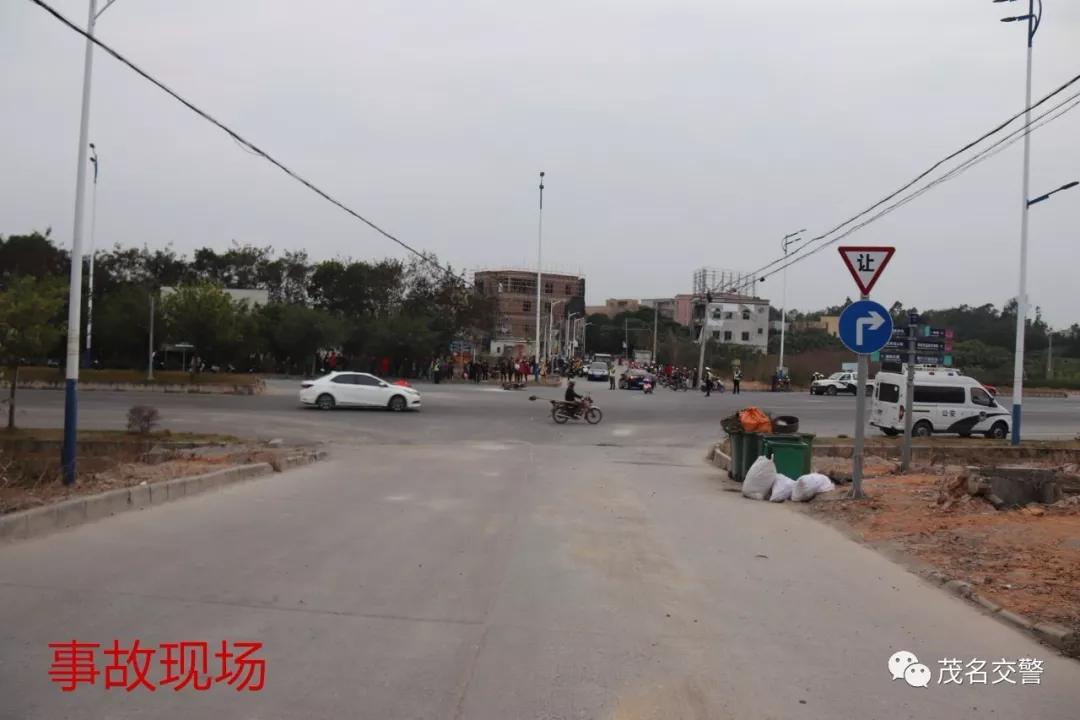 电白有多少人口_电白有刺粽叶图片