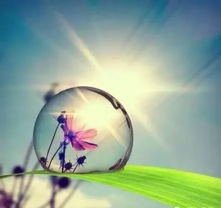 平常心是啥意思 b5623978e6a84eeab32bbcae396708f7.jpeg