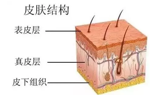 刽质人口_人口普查(2)