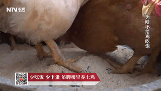 babf9aad98334b59a774cedc25c04aca.gif