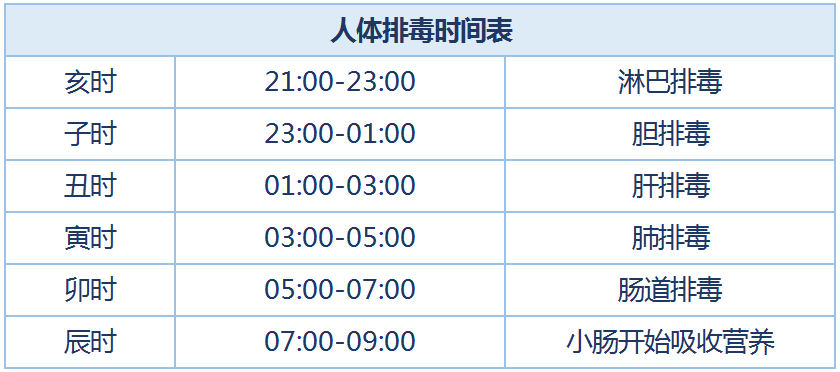 人体排毒时间难道器官也有排班表