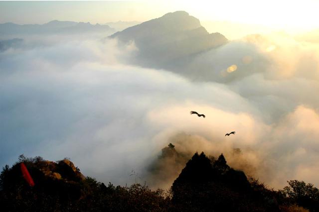 终南山简谱_终南山院士