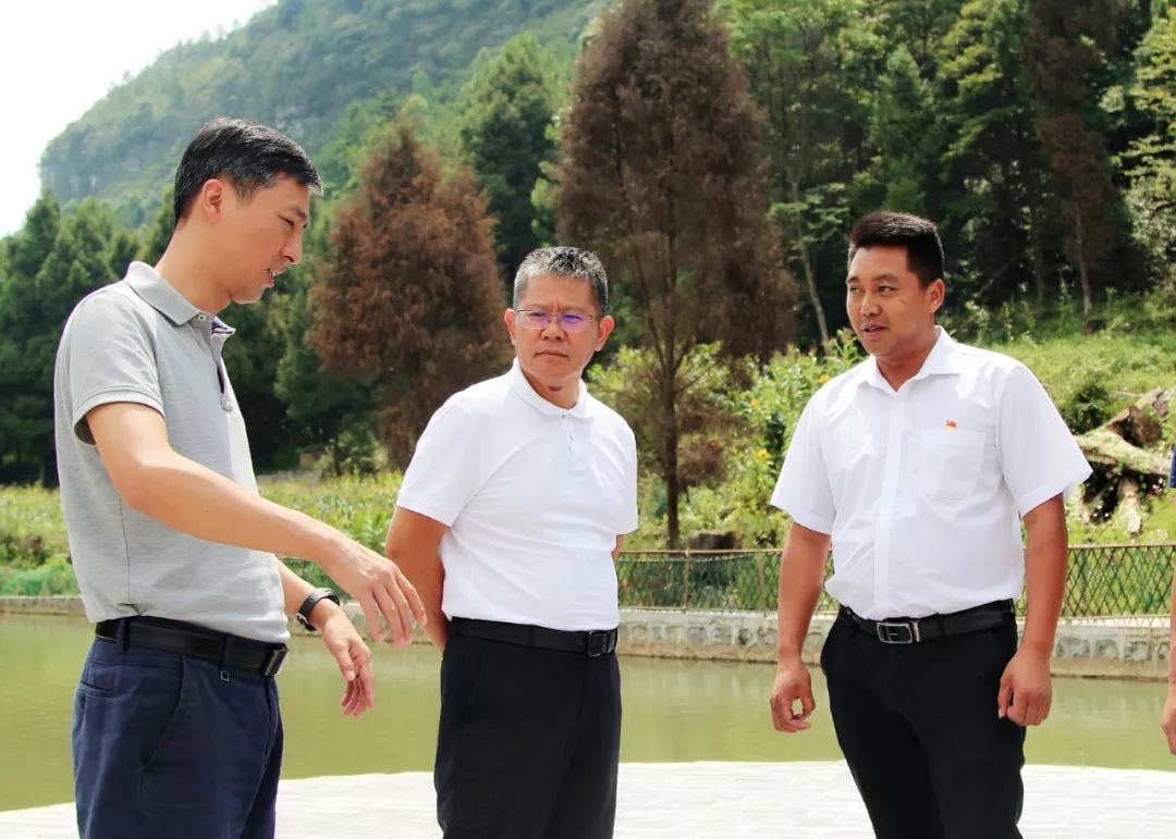 在了解到平坡村土地资源薄弱,农业结构调整进度缓慢后 唐德智要求,要