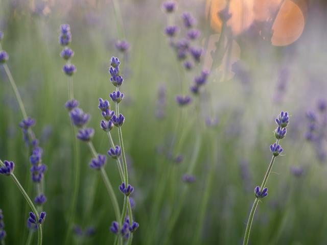 cc79a05855a2466cb05284a7ab9cf6d2.jpeg