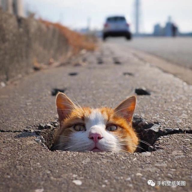 2019抖音超火封面图,朋友圈热门图.