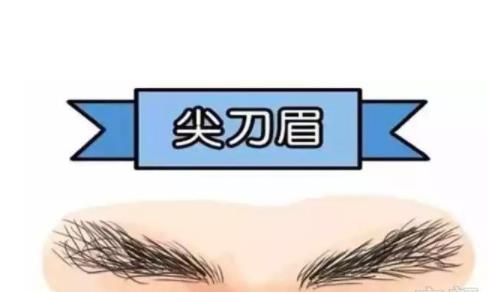 面相浓眉毛的人贵人缘旺易成功