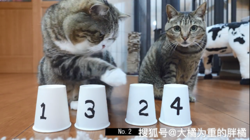 星屎人猜成语