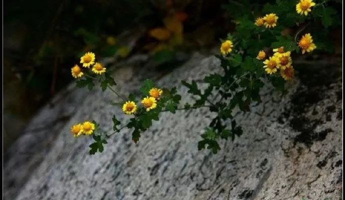 d75cabfb8b694976b67a16f4d235d541.jpeg