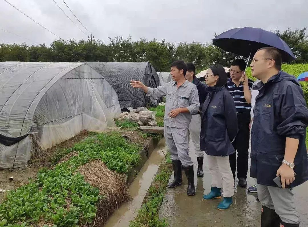 丰义镇人口_宜兴市官林镇丰义地图