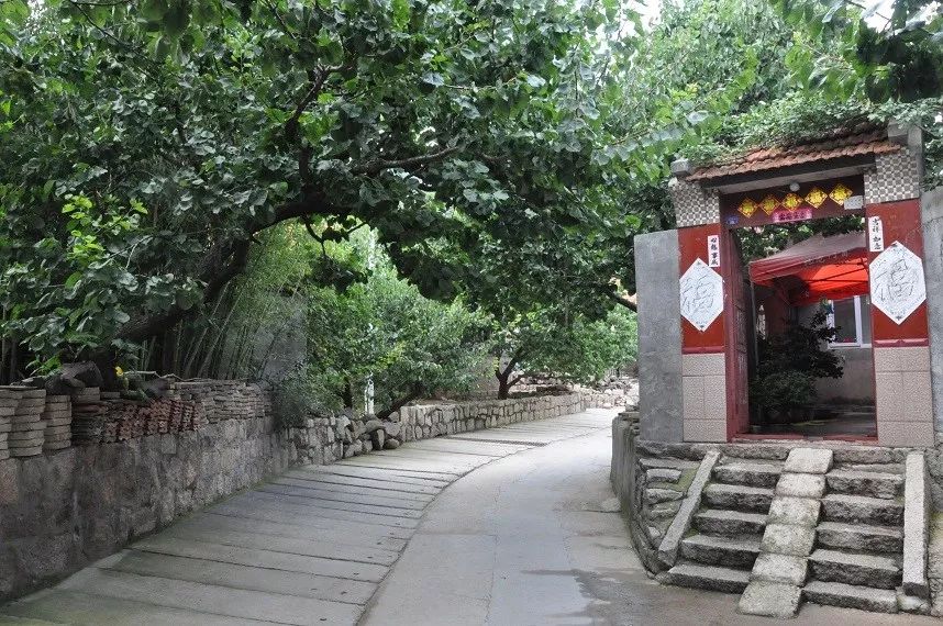 走街串巷逛庭院 迅速get青岛的文明栖居地
