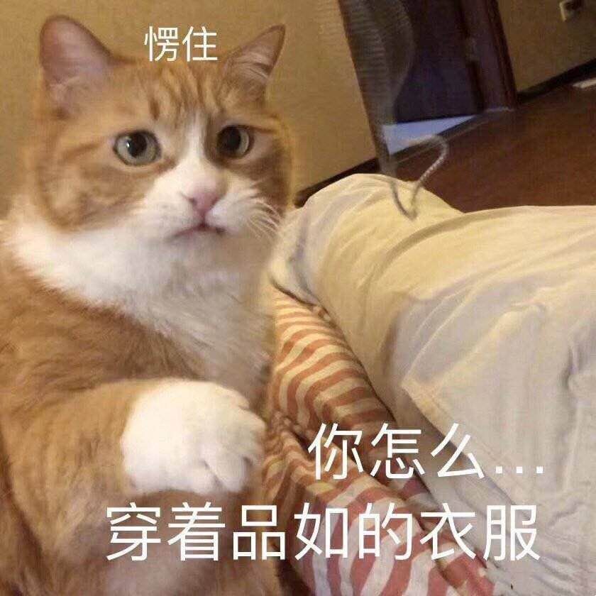 愣住了是什么成语_这是什么成语看图