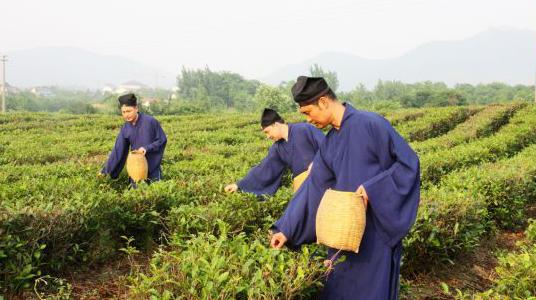 中元节：祈福静思 品茗养生