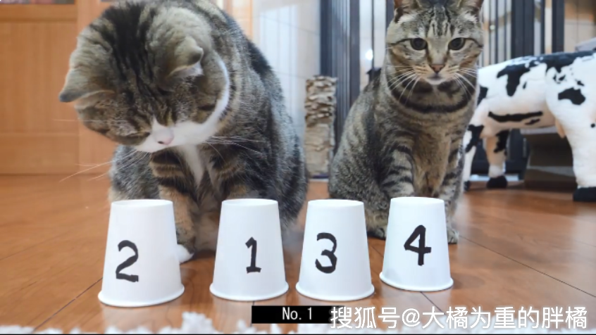 星屎人猜成语