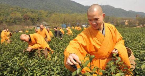 中元节：祈福静思 品茗养生