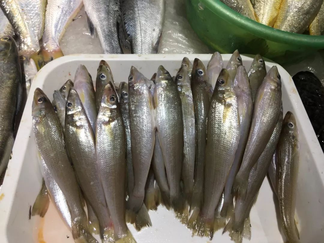 除了标准的四大件还有许多其他海鱼.虾类,贝类也都活蹦乱跳.