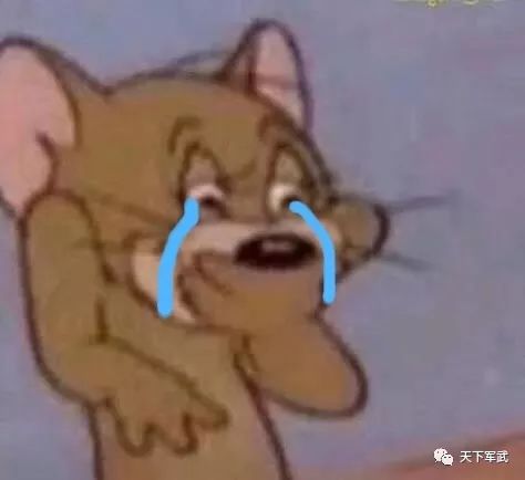 fffc2315123e4fd98108088593b4e7cd.jpeg