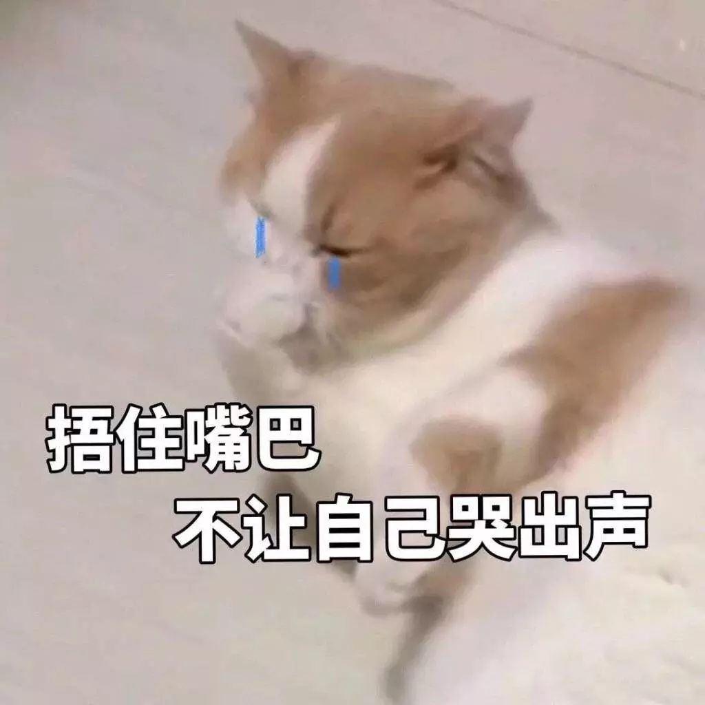 被自己蠢哭的真实瞬间