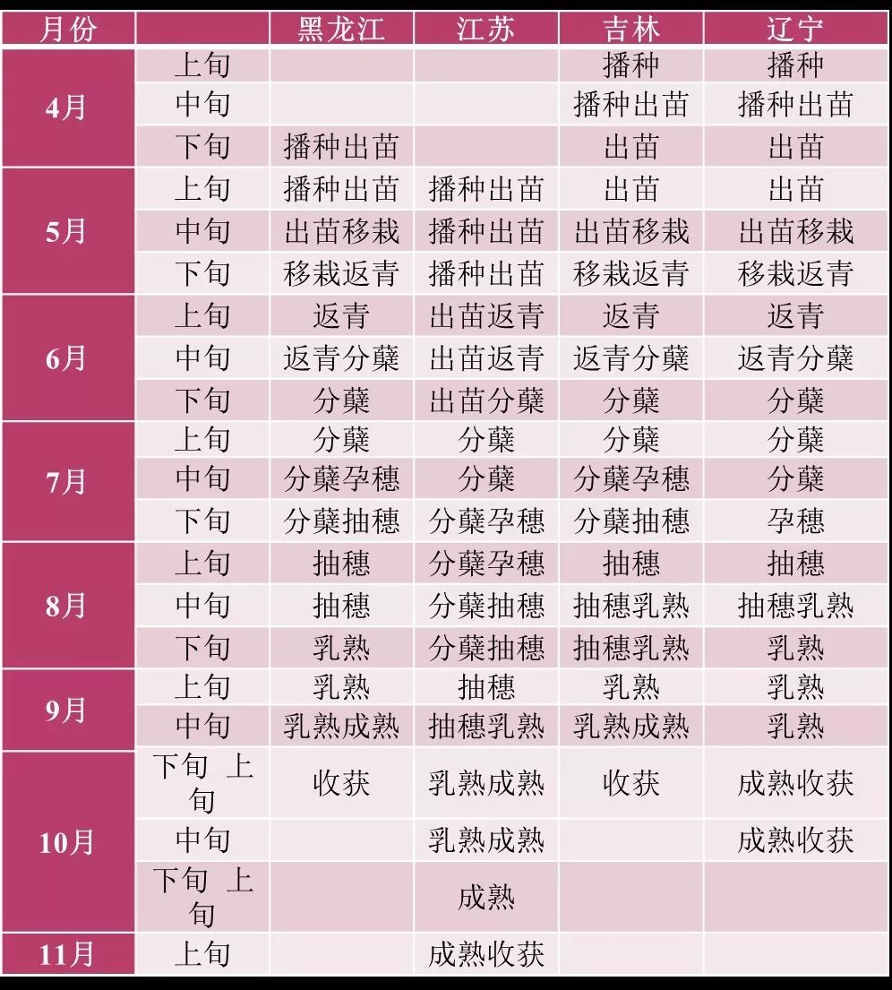 我国经济总量占世界的百分比_我国经济gdp总量图(3)