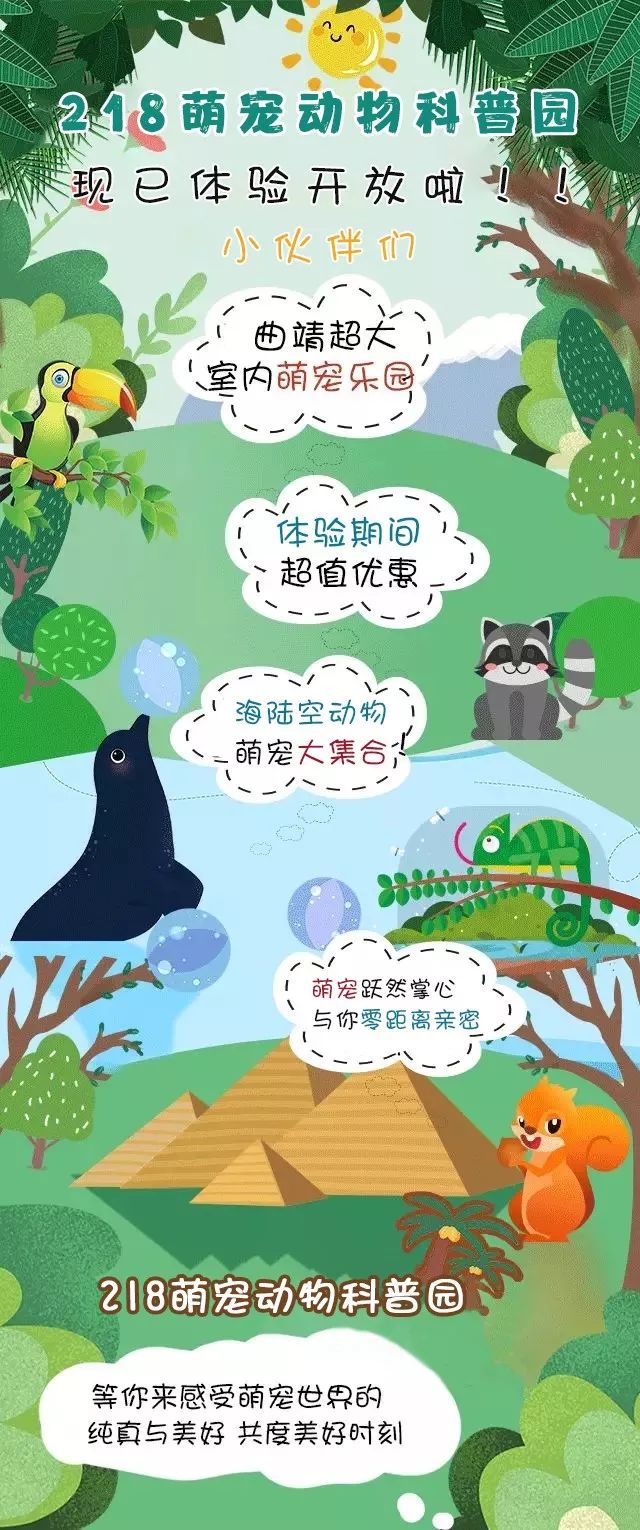 海陆空动物萌宠大集合, 打造大小孩子们专属