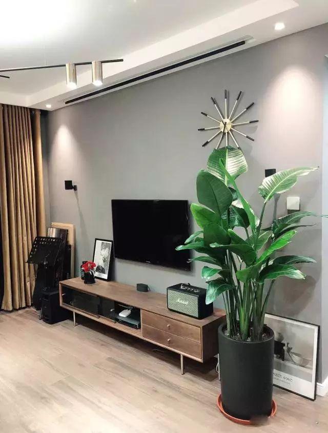 电视柜旁边放着绿植,可以起到非常漂亮的装饰,家里摆放绿植很有必要哈