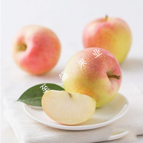 13a16fdd744d4b04a23193df91e7e165.jpeg