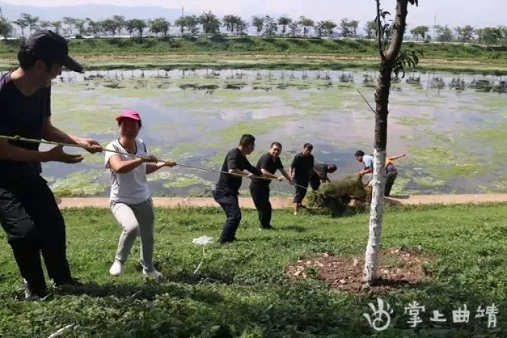 陆良阎芳河里的一幕