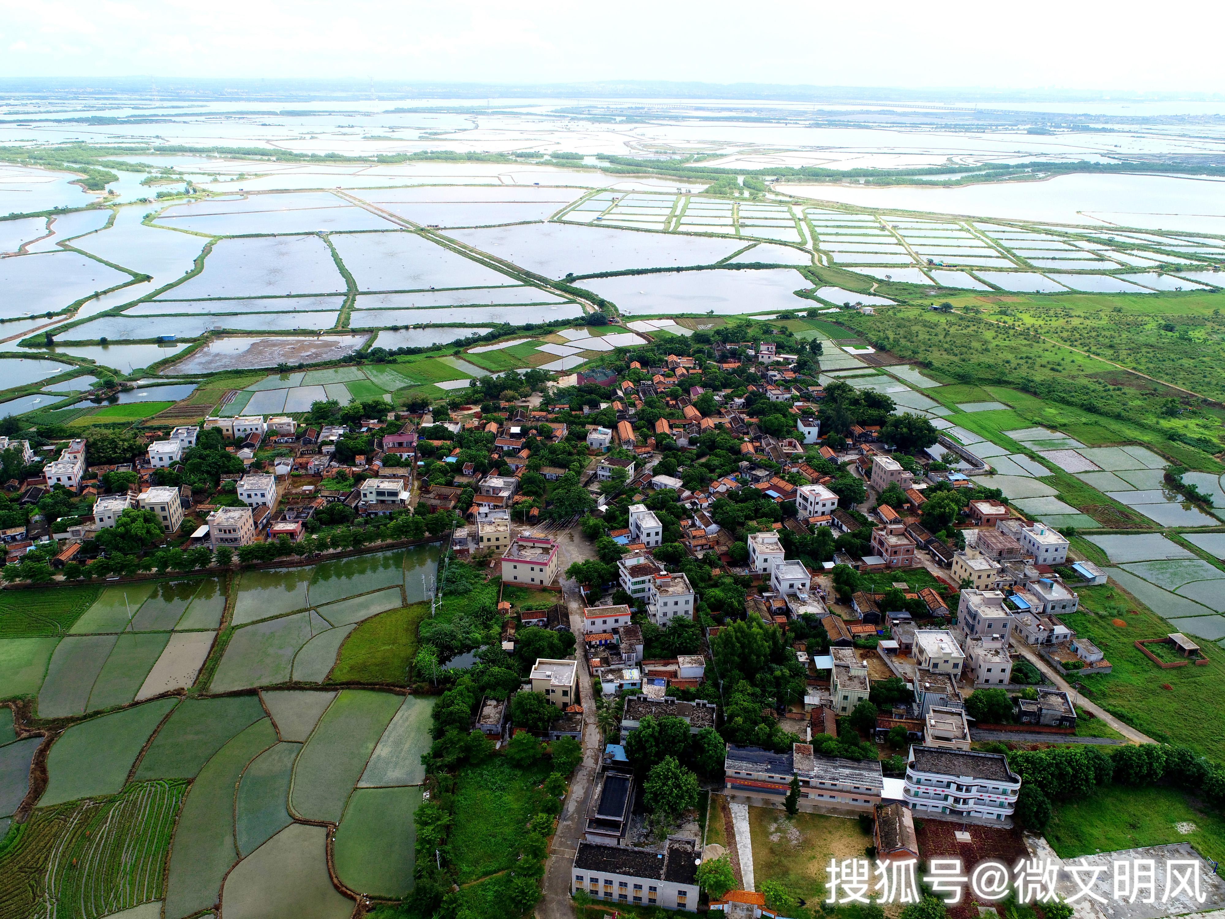 东海岛从渔岛到现代大工业新城的广东第一大岛