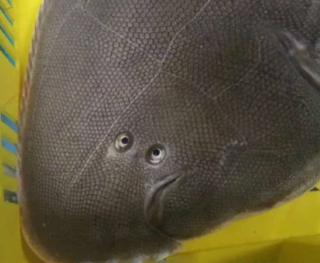 2a58baf528c940348812e3d2e487f507.png