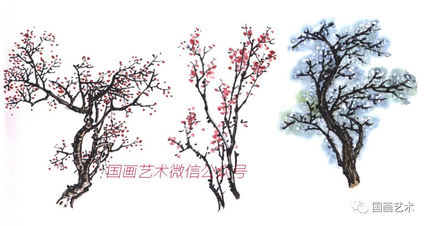 画春天的树还可以画含苞的桃树,海棠树,杏树,梨树,但要注意不