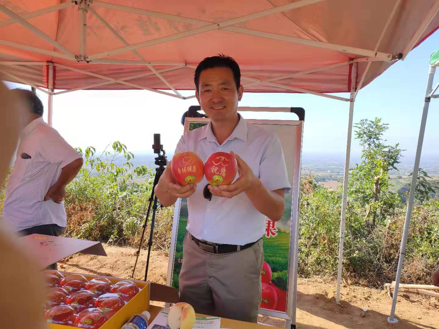 据法门镇党委书记张万峰介绍,截至目前,全镇花椒种植面积4583亩,仅