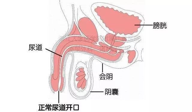                     小宝宝私处的“三步清洁法”，你越早知道越好