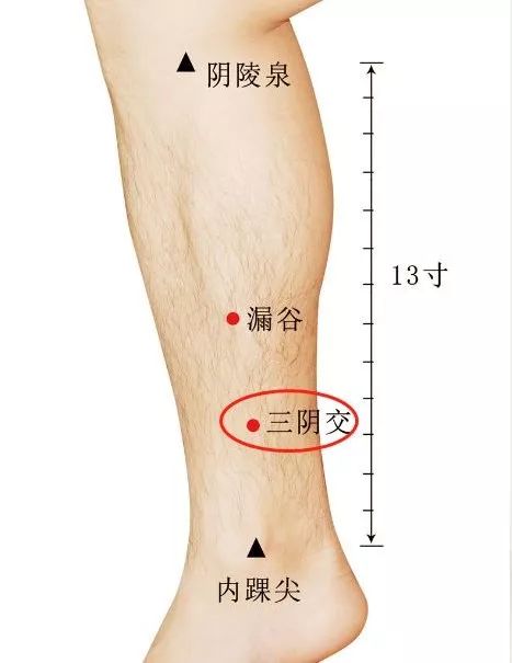 有一个穴位,美容,暖宫,调月经……还能改变你的易胖体质!